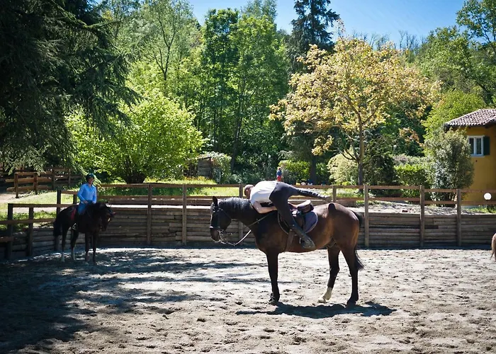 Val Salice Horses B&B Torino